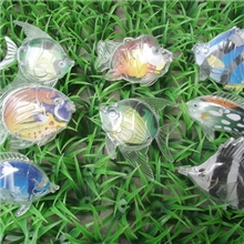 透明小鱼磁性散装钓鱼玩具批发厂家直销儿童宝宝夏天戏水游戏