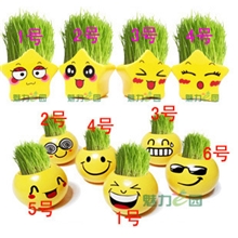 幸运五星<快乐星星>草头娃娃炫酷表情草娃娃批发长草娃娃青草种植