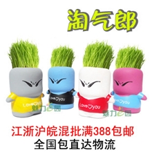 淘气郎草娃娃办公室长草娃娃创意迷你植物盆景盆栽草头娃娃批发