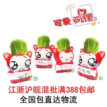 可爱阿狸草娃娃草头娃娃批发淘气郎迷你青草植物盆栽办公礼品