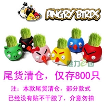 厂家直销特价批发小白人淘气郎青草种植愤怒的小鸟草娃娃
