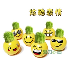 创意礼品绿植盆栽炫酷小子（炫酷表情草娃娃)地摊货源