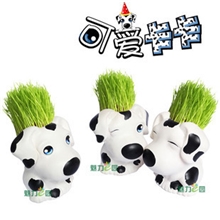 魅力e园<可爱卡卡>创意迷你植物DIY办公室迷你种植防辐射草娃娃