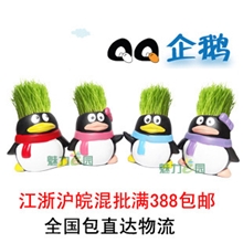 草娃娃装饰办公室迷你植物DIY淘气企鹅长草娃娃批发生日礼物