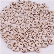 批发红白魔豆魔豆种子爱情魔豆魔豆赠品定做赠品地摊好货源