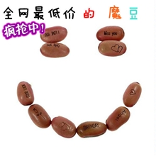 红魔豆批发种子红白魔豆爱情魔豆赠品定做创意礼品定做logo