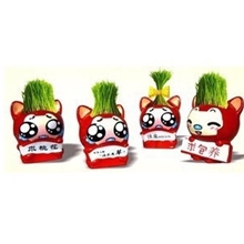 阿狸新款超萌草娃娃创意DIY淘气郎迷你青草植物盆情人节礼品