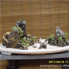供应室内外各种规格的山石山水盆景.树石及微型盆景