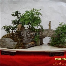 供应家居饰品及山石山水盆景树石及微型盆景