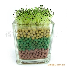 创意玩具/礼品迷你盆栽节日礼品负离子植栽种子