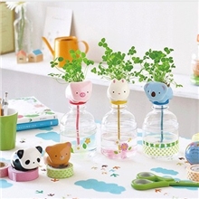 供应动物宠物瓶尾巴吸水萌宠盆栽草娃娃桌面绿植