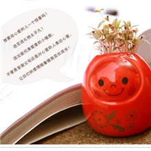 供应微型盆栽种草娃娃传爱小精灵办公桌面植物