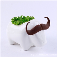 厂家直销创意桌面植栽-水牛绿植植物工艺品盆栽
