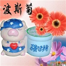 【厂家直销】室内盆景开心农场盆景批发盆栽花卉新奇特礼品