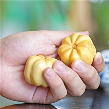 和卉堂黄杨木雕刻南瓜造型手把件健身球活筋骨一对2只礼品