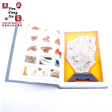天然化石百科古书*自然化石35CM带底座燕子石礼品*视频+防伪证书