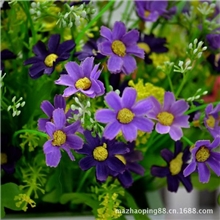 淘宝热销现货供应仿真花人造菊花跳兰菊7叉28花富贵菊