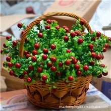 供应仿真花,吉祥果.发财果相思豆6叉红豆现货批发