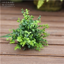 厂家批发C478草仿真塑料配件装饰尤加利叶家居纯绿叶仿真植物
