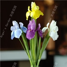 爱尔兰法国国花爱丽丝高仿真花PU花