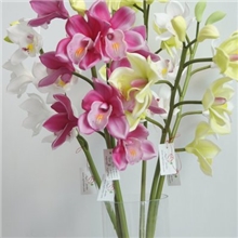 超级高仿真星洲兰真实手感星洲兰