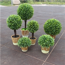 刺草盆景仿真花客厅装饰家居装饰假树装饰树书房装饰盆栽仿真植物