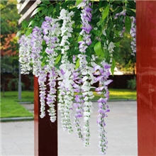 热销款仿真紫藤花荷兰子藤豆花豆瓣花吊兰花仿真植物仿真花