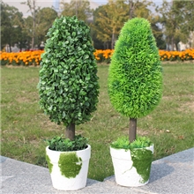 正品欧式田园艺术花仿真盆景盆栽绿意孔雀松仿真植物仿真花套装