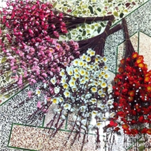 【性价比超高】质优价廉的高密度中式风格梅花枝仿真花瓶花