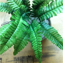 厂家直销人造仿真14片大波斯叶仿真树/仿真枝/假树