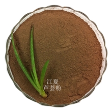 优质库拉索芦荟粉营养饮品通便排毒冲调饮品奶茶果粉原料批发