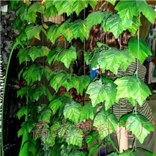 10号13#满叶葡萄叶仿真葡萄藤、仿真植物、装饰藤条仿真蔓藤