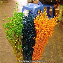 批发供应天然植物干花小星果