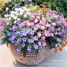 餐桌摆设花仿真装饰花家居高仿假花客厅春色小樱花布料装饰花