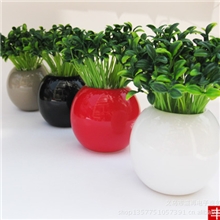 田园风格装饰仿真豆芽苗黄豆苗绿豆芽苗小草仿真草仿真花草