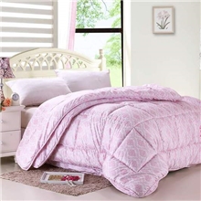 秋冬两用被芯批发家纺床上用品冬被厂家直销