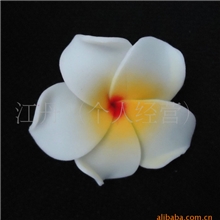 供应鸡蛋花，印尼药材鸡蛋花，人造鸡蛋花