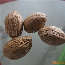 供应木芒果，厂家直接国外进口,不同于国内货品质.