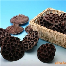 供应各种尺寸莲蓬壳,各种天然干果,植物壳.