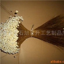 供应小星花快乐花,天然材料，天然干花，干草.干燥花
