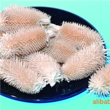 供应拉毛果,天然材料，天然干花，干草，工艺辅料.