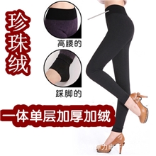 珍珠绒打底裤单层加厚保暖裤珍珠绒一体裤批发