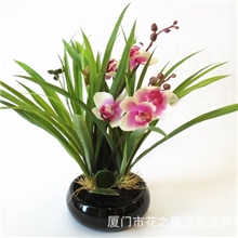 仿真花套装系列仿真盆栽花卉蝴蝶兰花艺仿真花套装批发厂家