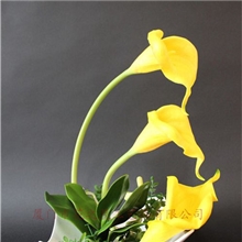 新款仿真马蹄莲花迷你仿真植物假花仿真花盆景仿真花盆栽批发