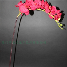 仿真假花蝴蝶兰装饰蝴蝶兰仿真花手感胶蝴蝶兰绿色仿真植物