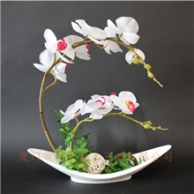 仿真盆栽盆景蝴蝶兰仿真植物仿真植物盆景蝴蝶兰仿真盆栽花卉
