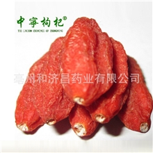 和济昌药业枸杞枸杞子美容养生茶厂家直销批发