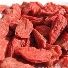 批发直销各种规格中药材大粒中粒小粒宁夏枸杞子可淘宝代发