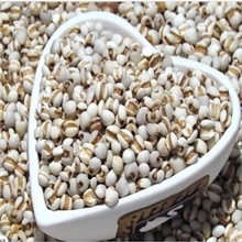 批发各种中药材2013贵州香糯精选小薏米大薏米仁碎薏米药食同源