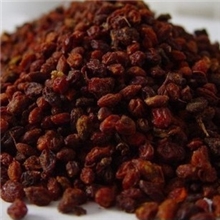 中药材批发供应新疆野生沙棘果/沙棘干果/止咳化痰健胃消食